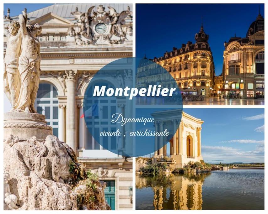 Le Nautilus Proche Clim Parking Prive Wifi Proche Montpellier *